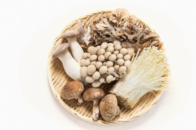 きのこの種類と特徴を徹底解説！おすすめのレシピもご紹介 | デリッシュキッチン