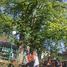 See 7 photos and 3 tips from 86 visitors to sieglinde. Sieglinde German Restaurant