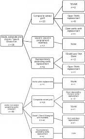 Flow Chart Illustrating Types Of Distal Aortic Procedures