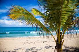 Es besteht aus der gleichnamigen hauptinsel sowie weiteren kleineren inseln wie. Beste Reisezeit Puerto Rico Wetter Klimatabelle Und Klimadiagramm