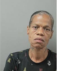 ᐅ Illinois Criminal Records 2009-2025