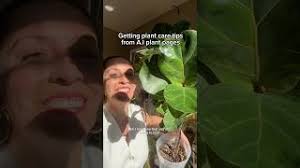 Here's what NOT to do with your plants!#plantcaretips