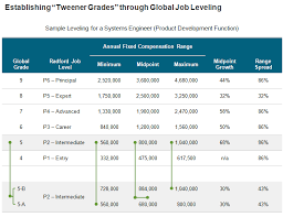 Global Job Leveling At Radford A Tailor Made Approach For