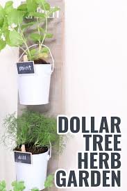 Check out our handy guide! Dollar Tree Herb Planter Creative Ramblings