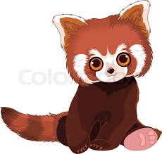 Illustration Of Cute Red Panda Stock Vector Colourbox
