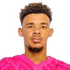 Profile R. Williams, Mamelodi Sundowns: Info, news, matches and statistics  | BeSoccer