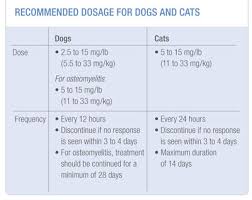 Cerenia Injectable Dosing Chart What Is Cerenia Side