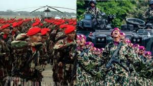 Negara yang pernah dilatih kopassus : Saat Belanda Ketakutan Tahu Kekuatan Militer Ri Sewaktu Kopassus Marinir Dan Paskhas Bersatu Tribun Jambi