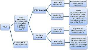 Managing Primary Angle Closure Glaucoma The Role Of Lens Extraction In This Era