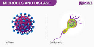 List of plant diseases caused by microorganisms. Microbes And Diseases Explore Diseases Caused By Microorganisms