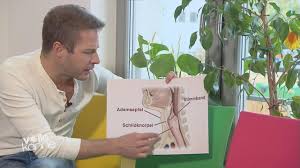 Listen to the audio pronunciation in several english accents. Der Besserwisser Und Der Adamsapfel Zdfmediathek