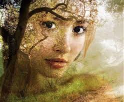 Before the roses bloom again, Jeannie Foster Lord and Gerald Lewis