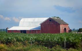But this road is fairly deserted so mission accomplished. Free Stock Photo Of Huge Old Roadside Barn With Corn Fields Download Free Images And Free Illustrations