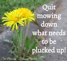 We did not find results for: How To Stop Dating A Married Man And Heal Your Heart She Blossoms