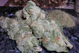 Image result for WHITE WIDOW