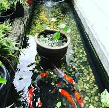 Seperti yang sudah dibahas sebelumnya, pembuatan kolam ikan dengan menggunakan material batu alam bisa juga dilakukan tanpa menggeruk bagian tanah. Jasa Pembuatan Taman Malang Tukang Tebing Malang Tukang Taman Vertikal Malang Tukang Batu Ampyang Malang Tukang Ornamen Relief 3d Malang Tukang Kolam Ikan Koi Di Malang Garden Style Garden Style