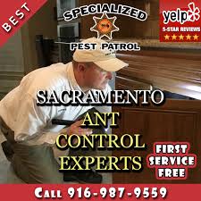 Best pest control companies sacramento ca arden termite & pest control member better business bureau save 20% off any other pest control company's written estimate for termite treatments please call: Mice Ant Exterminator Sacramento