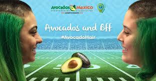 Danielle Moquin's Instagram, Twitter & Facebook