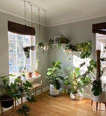 On Twitter Room With Plants Bedroom Plants Bedroom Plants Decor