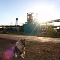 Tel el Nasbeh, taken May 20, 1932, excavation by Dean Bade in 1926.