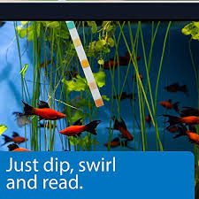 Api Test Strips Freshwater And Saltwater Aquarium Test