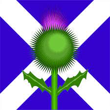 Flagge von peru nationalflagge flagge von schottland, portugal, marke, flagge, flagge von albanien png. Schottland Schottische Flagge Kostenlose Vektorgrafik Auf Pixabay