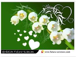 Join facebook to connect with brin de muguet and others you may know. Cartes 1er Mai Du Muguet Pour Envoyer Un Brin De Bonheur