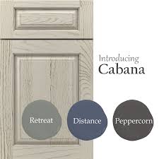 Decora Cabinetry Stains In 2020 Decora Cabinets Decora Everyday Art