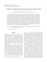 Image result for Afrobrunnichia erecta