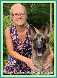 Search for other pet services in buzzards bay on the real yellow pages®. About Us