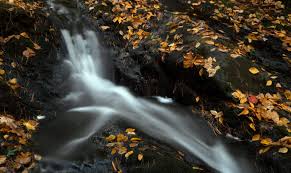 Photographers, local and foreign alike, flock to the avenue during every season of the year to capture this unique natural phenomenon in different lighting conditions. Free Nature Stock The Best Free Nature Stock Photos And Videos