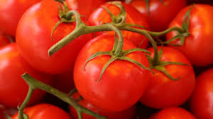 What is the best fertilizer for tomatoes? Tips For Growing The Best And Juiciest Tomatoes Ctv News