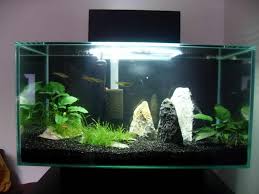 14 Splendid Diy Aquarium Furniture Ideas To Beautify Your Home Cuethat Diy Aquarium Decor Fish Aquarium Decorations Diy Aquarium