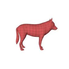 3d Model Wolf Base Mesh Buy Now 91426625 Pond5 Check out our wolf base selection for the very best in unique or custom, handmade pieces from our art & collectibles shops. 3d model wolf base mesh buy now