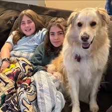 Which Arlington National Cemetery tour is more in-depth and informative?