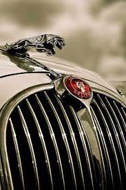 Tentcamp Jaguar Source Tc Car Hood Ornaments Car Ornaments Jaguar