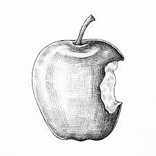 Pin On Art