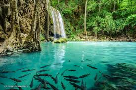 Jun 23, 2021 · erawan national park has much to offer to visitors, including a number of caves; Full Day At Erawan Waterfall And The Death Railway Experitour Com