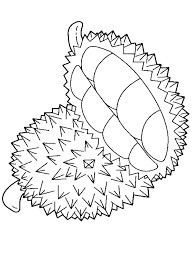 1,000+ vectors, stock photos & psd files. 23 Fruits Rambutan Coloring Pages You Need To Have