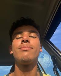 adi stevens🐺 (@adi_stevens) • Instagram photos and videos