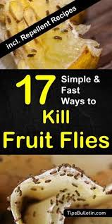 17 Fast Easy Ways To Get Rid Of Fruit Flies Fruit Fly Trap Fruit Fly Trap Diy Fruit Flies