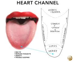 listen to your tongue what does a red tip mean in chinese