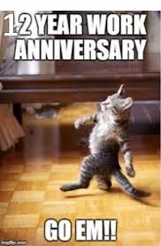 Check spelling or type a new query. Happy Work Anniversary Meme Funny Mycontentstore