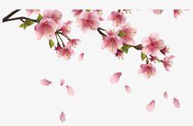We did not find results for: Beautiful Pink Spring Branch With Falling Petals Png Cherry Blossom Drawing Png Transparent Png 1368x855 Free Download On Nicepng