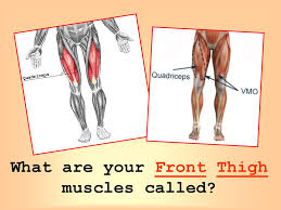 Select a muscle and it provides the exercises to workout the selected muscle. Muscles And Bones Ppt Download