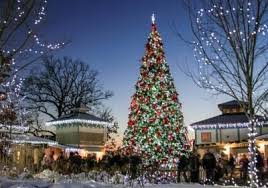The Holidays Are A Glow Here In The Cincinnati Region These Annual Light Displays Provide Plenty Of Wa Festival Lights Christmas Light Displays Holiday Lights