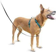 We did not find results for: Buy Petsafe 3 In 1 Dog Harness No Pull Solution For Dogs Choose From Chest Back Or Seatbelt Attachment Reflective Nylon Perfect For Running Or Jogging Front Clip