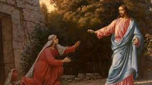 Sztuka lwowska w xvi i xvii wieku: Opizkgs Rd46wm