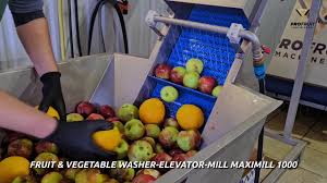 Traitement Des Fruits Et Legumes D Occasion A Vendre Sur Machineseeker