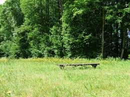 Im interview gibt er auskunft über seine sichtweise auf das. Bildergalerie Haus Der Stille Buddhistisches Meditationszentrum In Roseburg